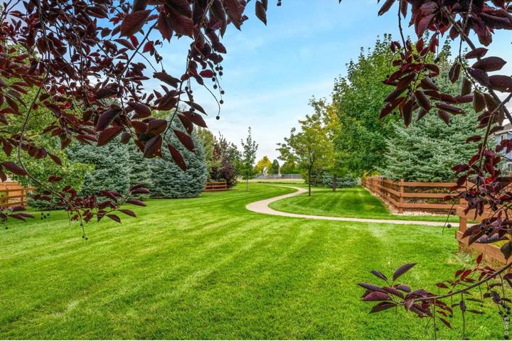 Greenbelt path through mature trees and lawn